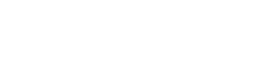 Minnesota Chapter of the American Academy of Pediatrics Logo