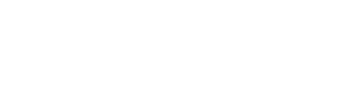 Minnesota Chapter of the American Academy of Pediatrics logo